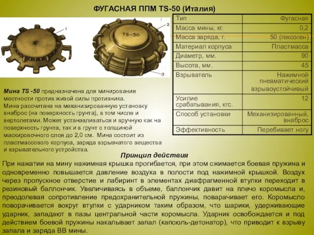 ФУГАСНАЯ ППМ TS-50 (Италия) Мина TS -50 предназначена для минирования местности против