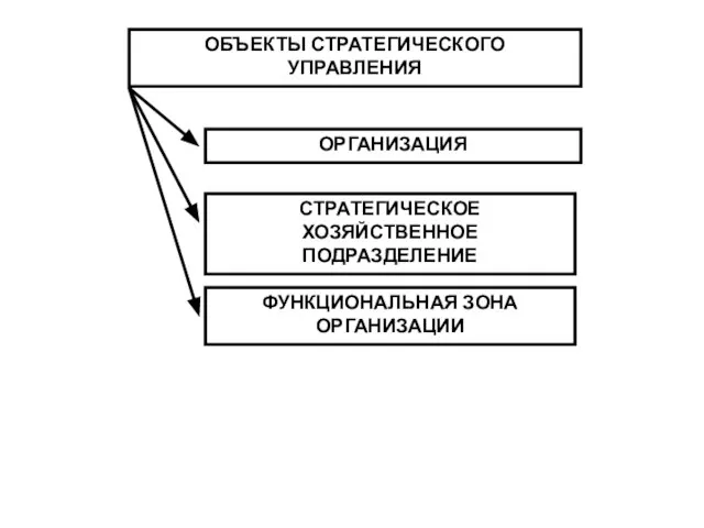 ОБЪЕКТЫ СТРАТЕГИЧЕСКОГО УПРАВЛЕНИЯ ОРГАНИЗАЦИЯ СТРАТЕГИЧЕСКОЕ ХОЗЯЙСТВЕННОЕ ПОДРАЗДЕЛЕНИЕ ФУНКЦИОНАЛЬНАЯ ЗОНА ОРГАНИЗАЦИИ