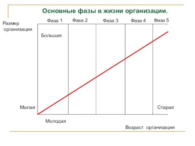 Размер организации Основные фазы в жизни организации. Возраст организации Фаза 1 Фаза