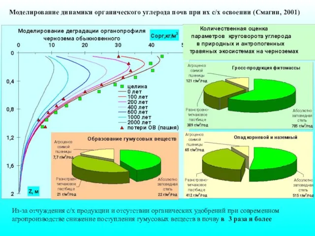 Моделирование динамики органического углерода почв при их с/х освоении (Смагин, 2001) Из-за