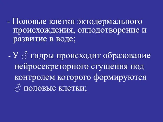 - У ♂ гидры происходит образование нейросекреторного сгущения под контролем которого формируются