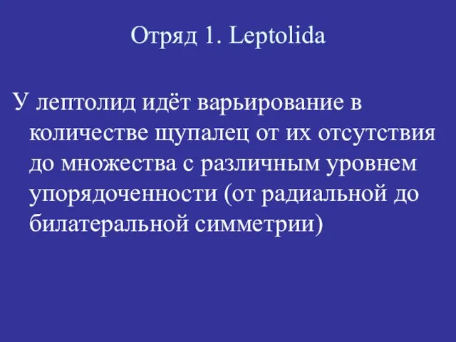 Отряд 1. Leptolida У лептолид идёт варьирование в количестве щупалец от их