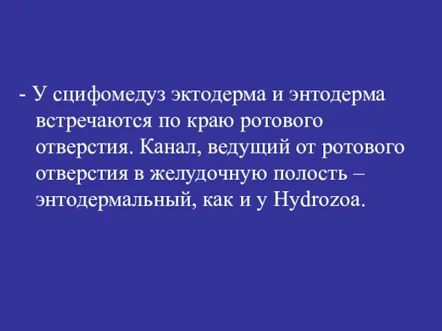 - У сцифомедуз эктодерма и энтодерма встречаются по краю ротового отверстия. Канал,