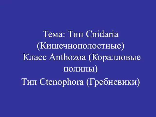 Тема: Тип Cnidaria (Кишечнополостные) Класс Anthozoa (Коралловые полипы) Тип Ctenophora (Гребневики)