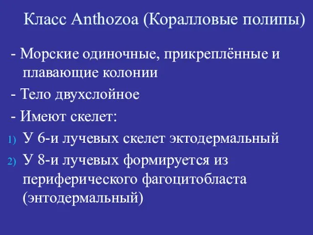 Класс Anthozoa (Коралловые полипы) - Морские одиночные, прикреплённые и плавающие колонии -