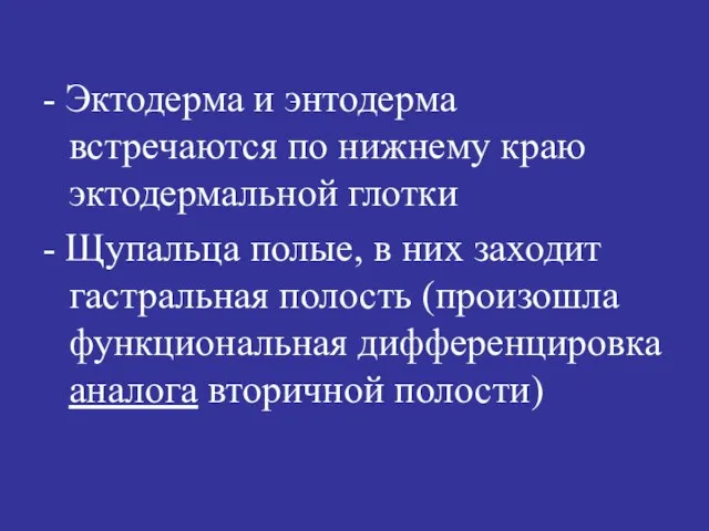 - Эктодерма и энтодерма встречаются по нижнему краю эктодермальной глотки - Щупальца