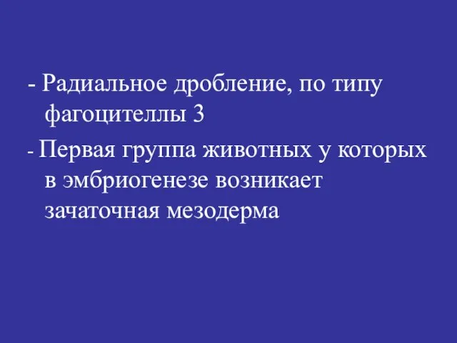 - Радиальное дробление, по типу фагоцителлы 3 - Первая группа животных у