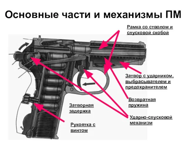 Основные части и механизмы ПМ Рамка со стволом и спусковой скобой Затвор