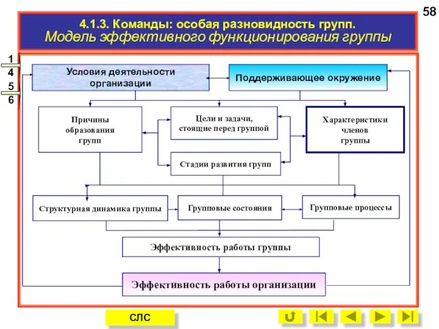 Условия деятельности организации Поддерживающее окружение Причины образования групп Характеристики членов группы Стадии