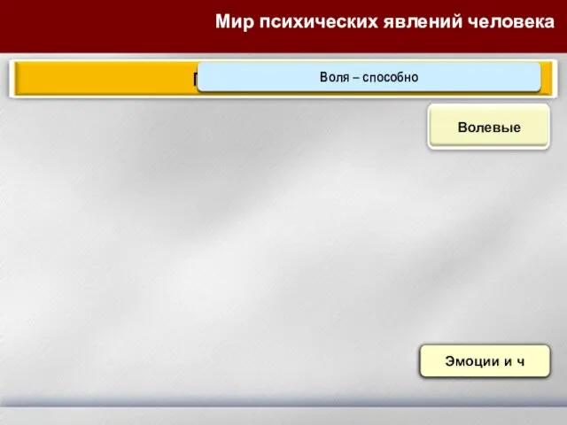 Мир психических явлений человека Познова-те Эмоции и ч ОщущенияВосприя НастроенияАффек Воля – способно