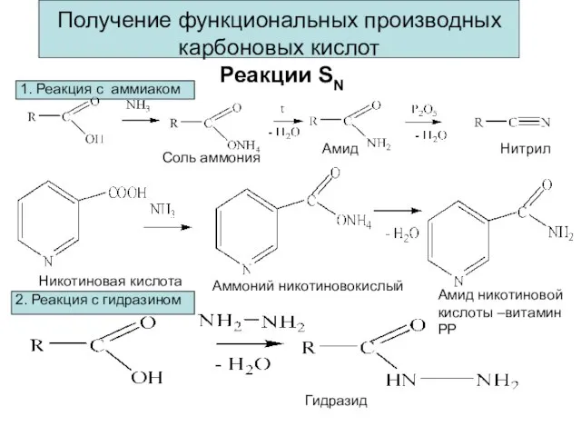 Получение функциональных производных карбоновых кислот Реакции SN Соль аммония Амид Нитрил Никотиновая