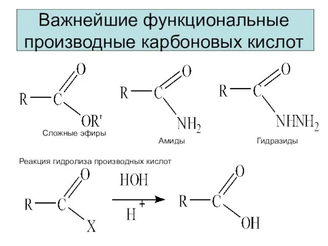 Важнейшие функциональные производные карбоновых кислот Сложные эфиры Амиды Гидразиды Реакция гидролиза производных кислот