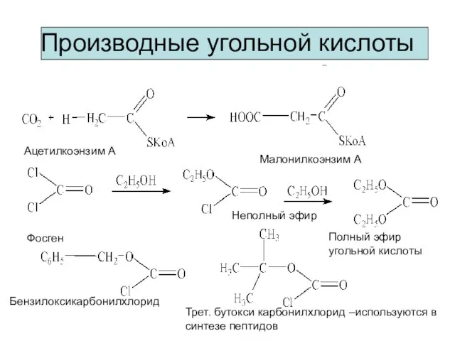 Производные угольной кислоты Ацетилкоэнзим А Малонилкоэнзим А Фосген Неполный эфир Полный эфир