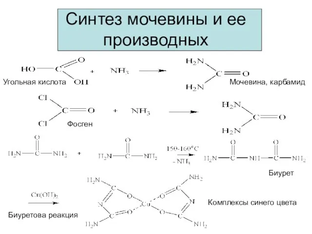 Синтез мочевины и ее производных Мочевина, карбамид Биурет Биуретова реакция Комплексы синего цвета Угольная кислота Фосген