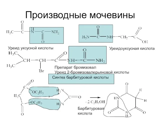 Производные мочевины Уреид уксусной кислоты Уреидоуксусная кислота Препарат бромизовал Уреид 2-бромизовалерьяновой кислоты