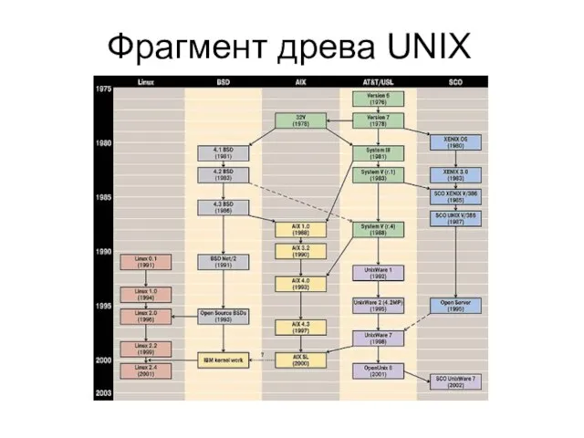 Фрагмент древа UNIX
