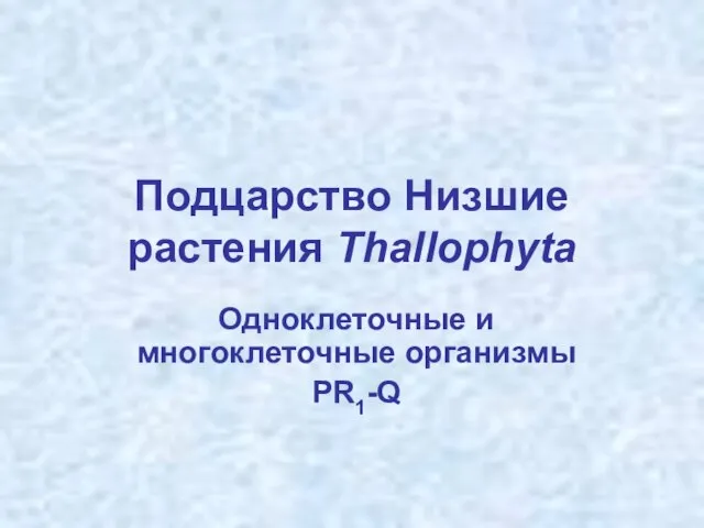 Подцарство Низшие растения Thallophyta Одноклеточные и многоклеточные организмы PR1-Q