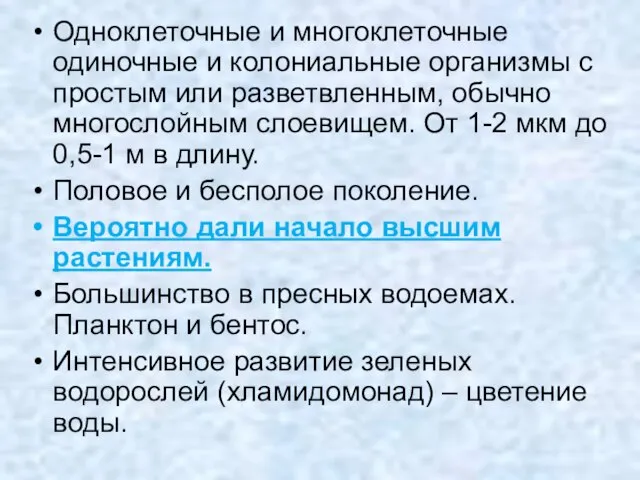 Одноклеточные и многоклеточные одиночные и колониальные организмы с простым или разветвленным, обычно