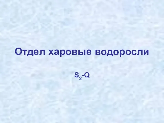 Отдел харовые водоросли S2-Q