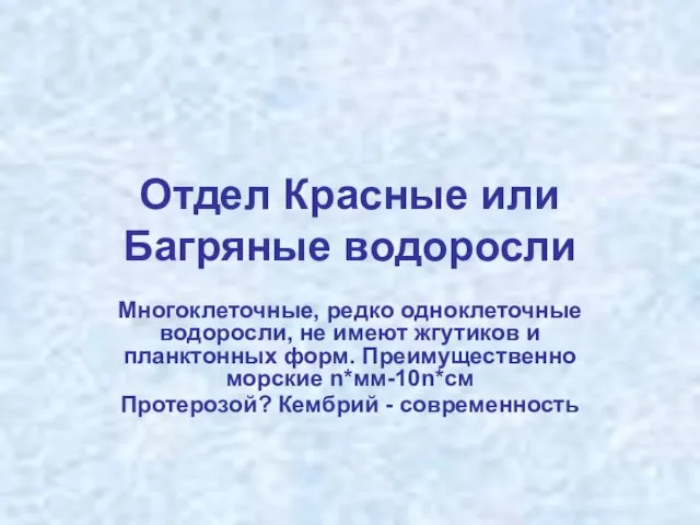 Отдел Красные или Багряные водоросли Многоклеточные, редко одноклеточные водоросли, не имеют жгутиков