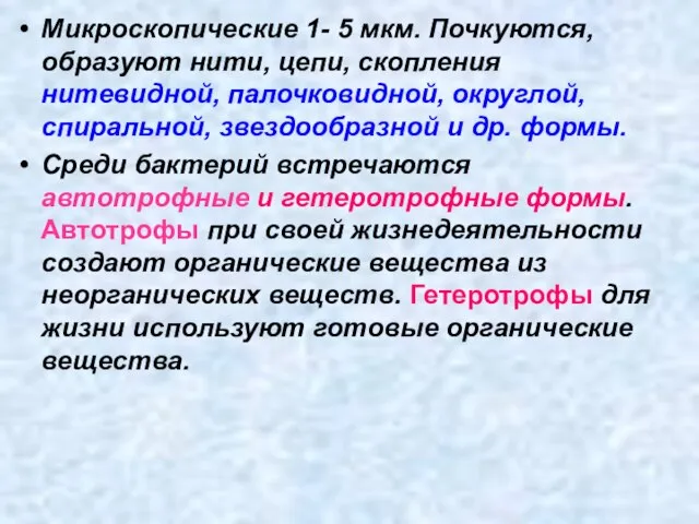 Микроскопические 1- 5 мкм. Почкуются, образуют нити, цепи, скопления нитевидной, палочковидной, округлой,