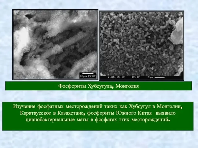 Изучение фосфатных месторождений таких как Хубсугул в Монголии, Каратаусское в Казахстане, фосфориты