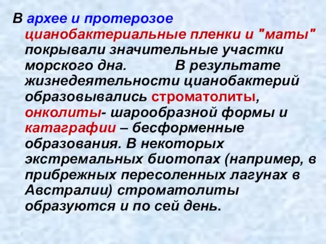 В архее и протерозое цианобактериальные пленки и "маты" покрывали значительные участки морского