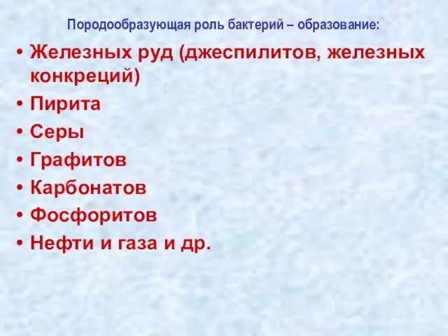 Железных руд (джеспилитов, железных конкреций) Пирита Серы Графитов Карбонатов Фосфоритов Нефти и