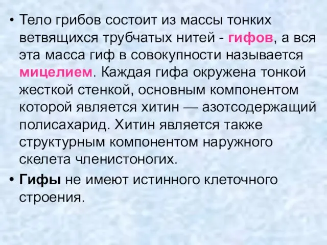 Тело грибов состоит из массы тонких ветвящихся трубчатых нитей - гифов, а