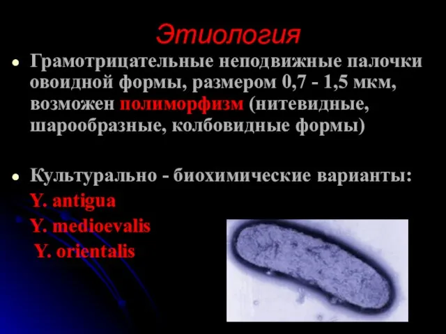 Этиология Грамотрицательные неподвижные палочки овоидной формы, размером 0,7 - 1,5 мкм, возможен