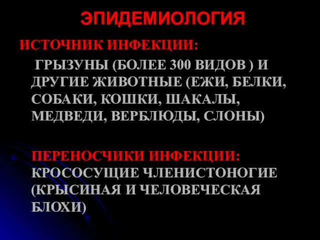 ЭПИДЕМИОЛОГИЯ ИСТОЧНИК ИНФЕКЦИИ: ГРЫЗУНЫ (БОЛЕЕ 300 ВИДОВ ) И ДРУГИЕ ЖИВОТНЫЕ (ЕЖИ,