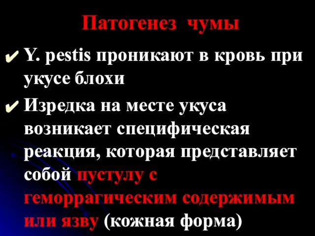 Патогенез чумы Y. pestis проникают в кровь при укусе блохи Изредка на