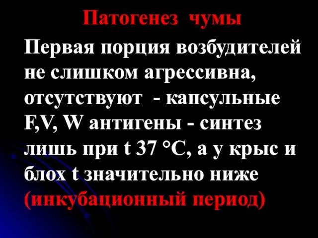 Патогенез чумы Первая порция возбудителей не слишком агрессивна, отсутствуют - капсульные F,V,