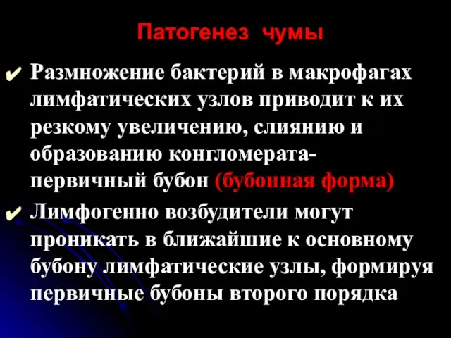 Патогенез чумы Размножение бактерий в макрофагах лимфатических узлов приводит к их резкому