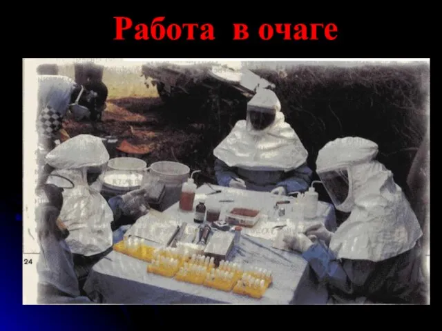 Работа в очаге