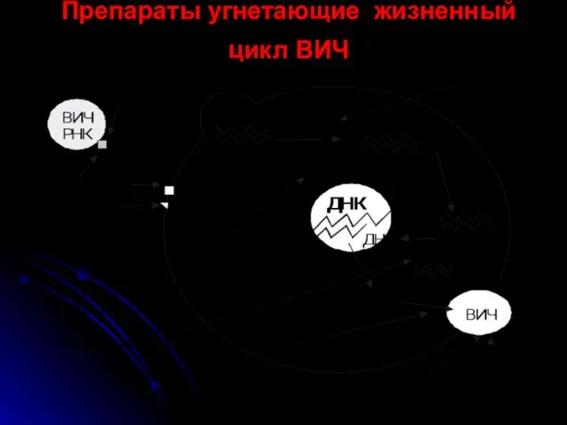 Препараты угнетающие жизненный цикл ВИЧ