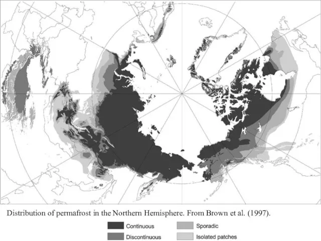 Distribution of permafrost in the Northern Hemisphere. From Brown et al. (1997).