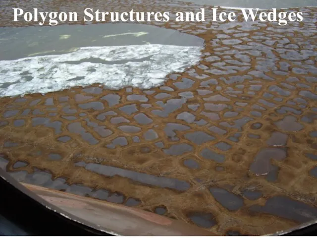 Polygon Structures and Ice Wedges