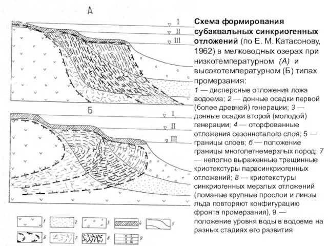 Схема формирования субаквальных синкриогенных отложений (по Е. М. Катасонову, 1962) в мелководных