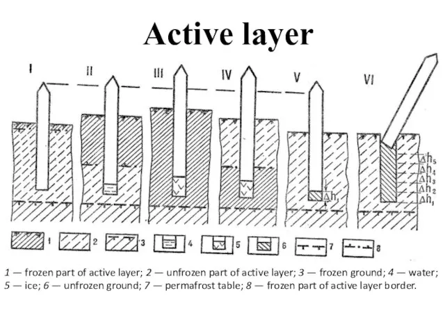 Active layer 1 — frozen part of active layer; 2 — unfrozen