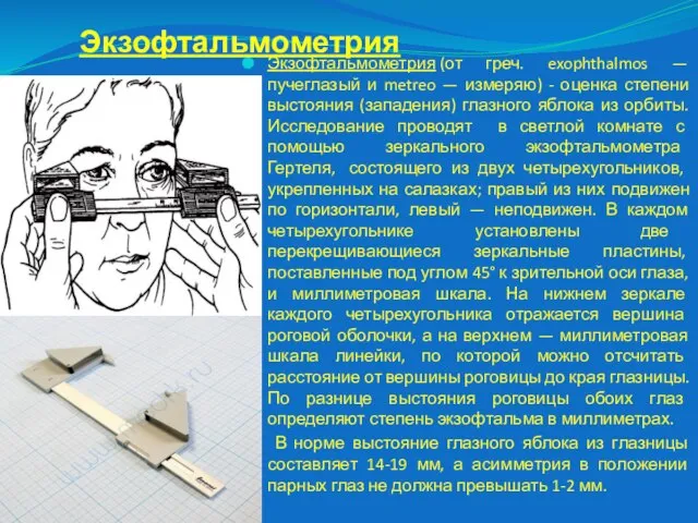 Экзофтальмометрия Экзофтальмометрия (от греч. exophthalmos — пучеглазый и metreo — измеряю) -