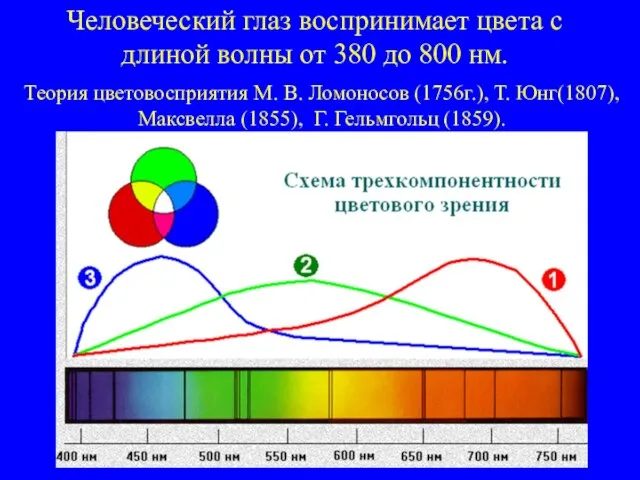 Человеческий глаз воспринимает цвета с длиной волны от 380 до 800 нм.