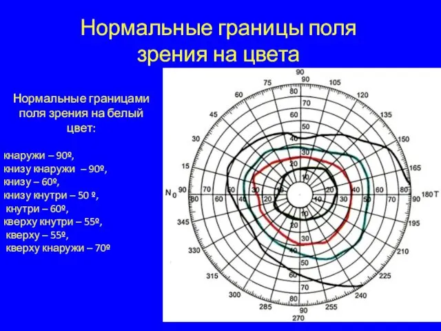 Нормальные границы поля зрения на цвета Нормальные границами поля зрения на белый