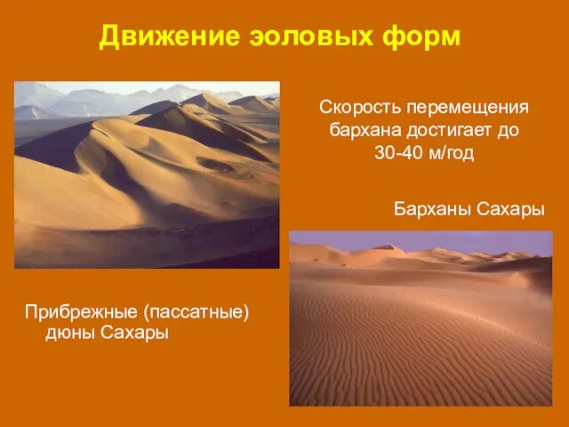 Движение эоловых форм Прибрежные (пассатные) дюны Сахары Барханы Сахары Скорость перемещения бархана достигает до 30-40 м/год