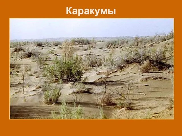 Каракумы