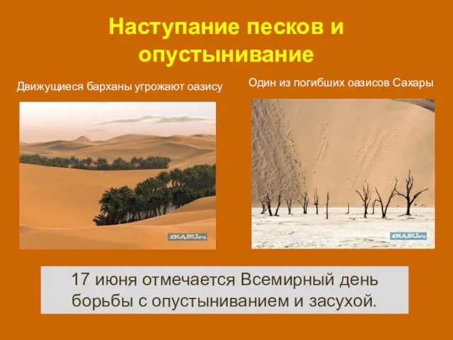 Наступание песков и опустынивание Один из погибших оазисов Сахары Движущиеся барханы угрожают