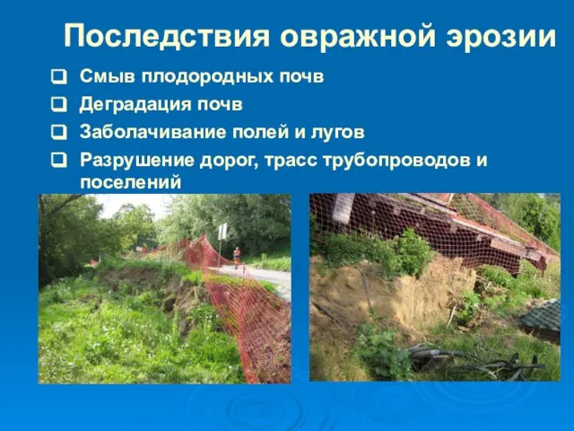 Последствия овражной эрозии Смыв плодородных почв Деградация почв Заболачивание полей и лугов