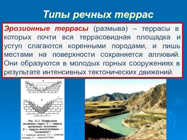 Эрозионные террасы (размыва) – террасы в которых почти вся террасовидная площадка и