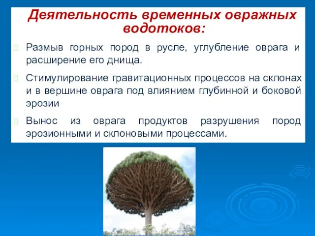 Деятельность временных овражных водотоков: Размыв горных пород в русле, углубление оврага и