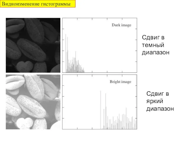 Видноизменение гистограммы Сдвиг в темный диапазон Сдвиг в яркий диапазон